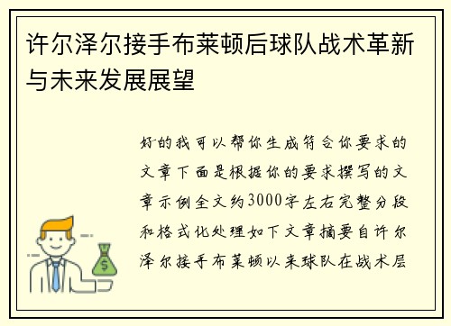 许尔泽尔接手布莱顿后球队战术革新与未来发展展望